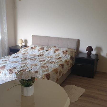 Apartments Kamenjar Novi Sad Værelse billede